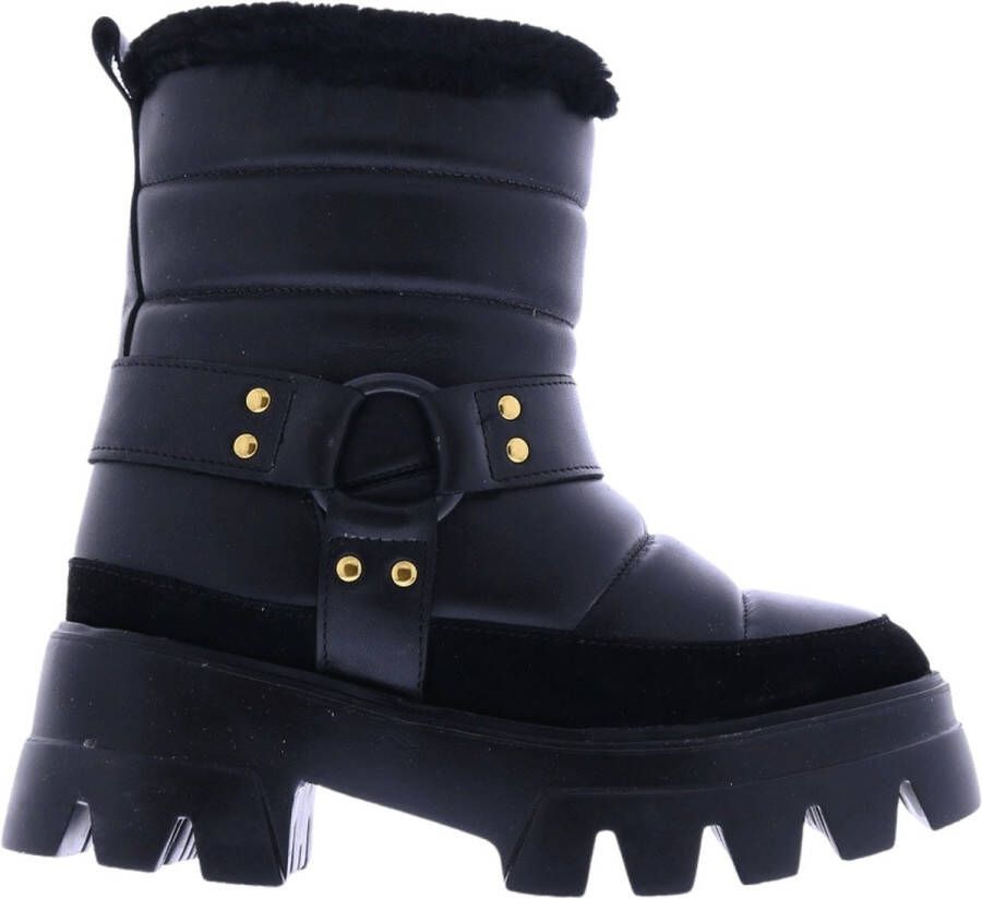 Toral Boots & laarzen Dames Naplak Cbrichcneg in zwart