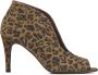 Toral Enkellaarsjes Dames Laarzen Damesschoenen Suède Leopardprint 10421 sue Leopard - Thumbnail 1