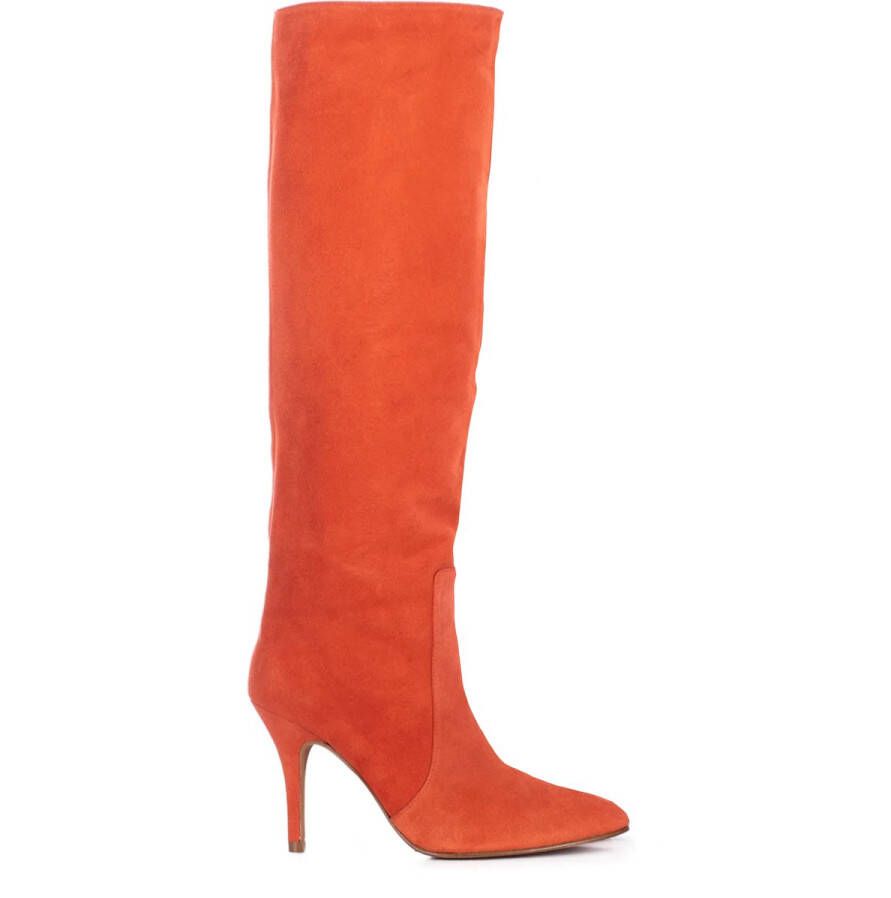 Toral TL12715 Laars Tropicale