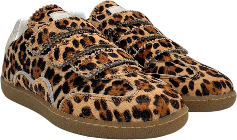 Toral Schoenen Bruin Sneakers Bruin Tl-rem