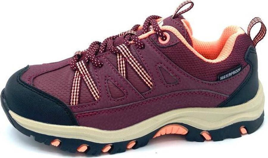 Trespass Gillon Low Cut Ii Wandelschoenen Rood