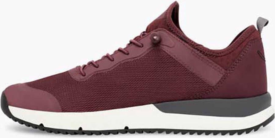 TROPICFEEL Canyon Sneakers Paars Man