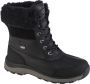 UGG ADIRONDACK BOOT III W Volwassenen Gevoerde laarzenSnowbootsDames laarzen Zwart - Thumbnail 1