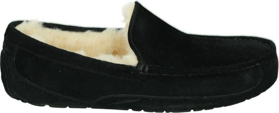 UGG Ascot Heren Sloffen Black