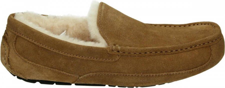 UGG Ascot Heren Sloffen Chestnut