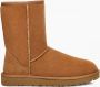 UGG Klassieke laarzen Heren Boots Laarzen Herenschoenen Suède Classic short Cognac - Thumbnail 3