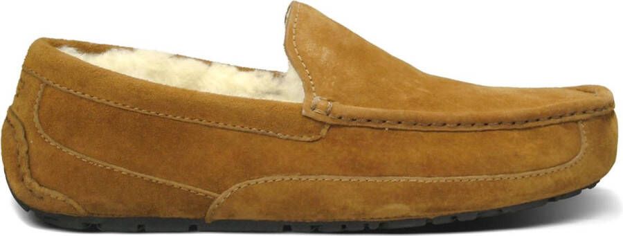 UGG Pantoffels Heren Ascot Suède Cognac