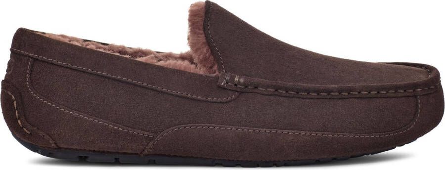 UGG M Ascot Heren Sloffen Donkerbruin