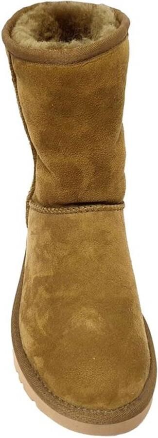 UGG Dames Boot Classic Short 5825 Beige (Dlf) - Foto 5