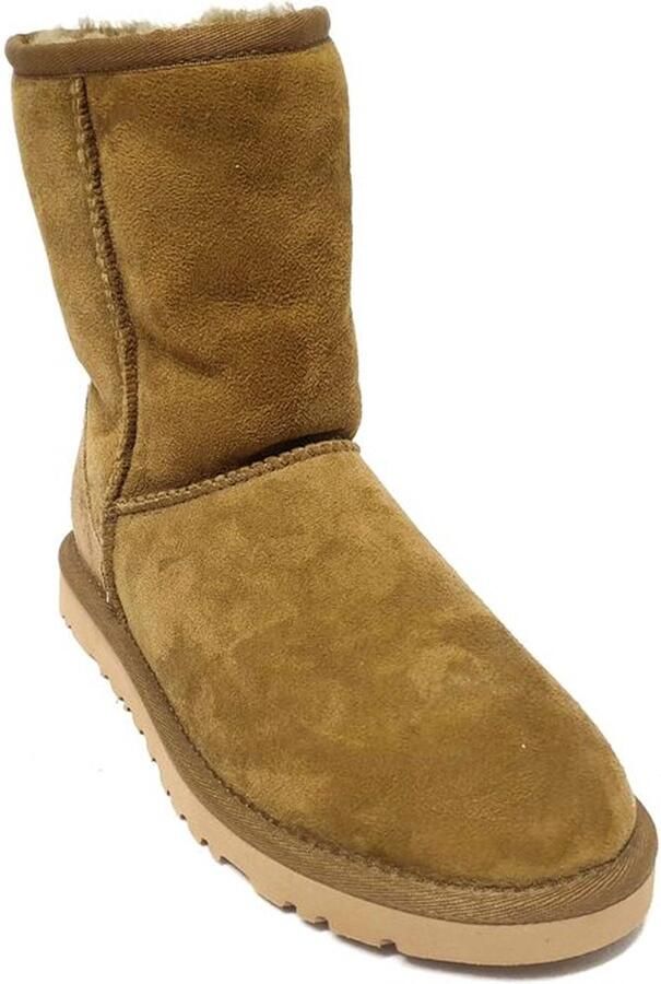 UGG Dames Boot Classic Short 5825 Beige (Dlf) - Foto 2