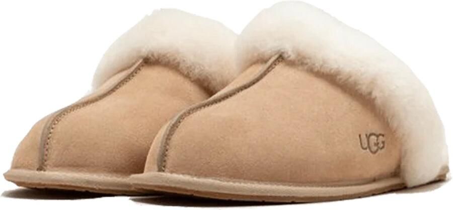 UGG Scuffette II Mustard Seed (Women's)