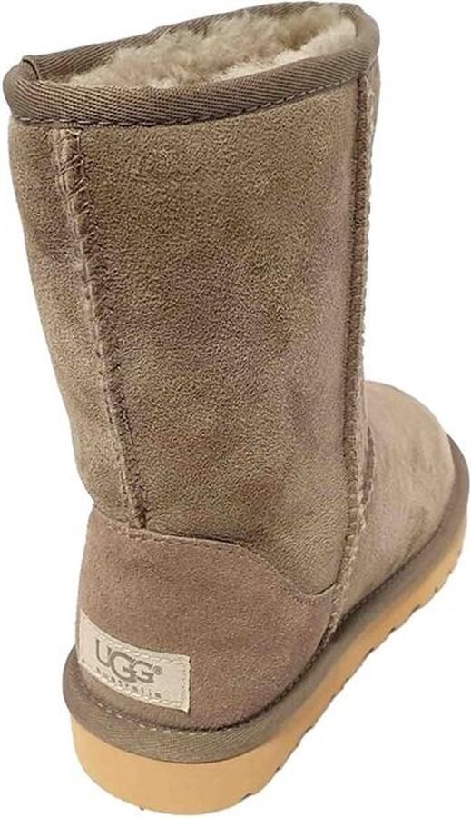 UGG Suede Dames Boot Classic Short 5825 Primer (prm) - Foto 3