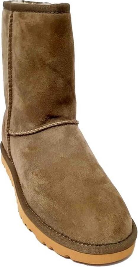 UGG Suede Dames Boot Classic Short 5825 Primer (prm) - Foto 4