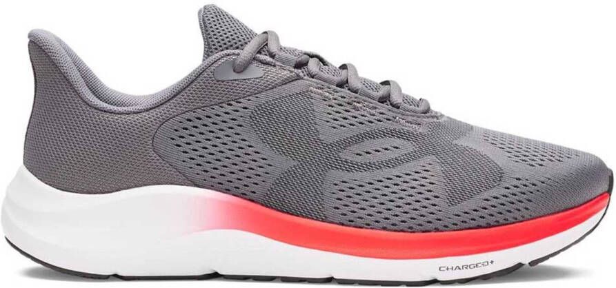 Under Armour Charged Pursuit 4 Bl Hardloopschoenen Grijs Man
