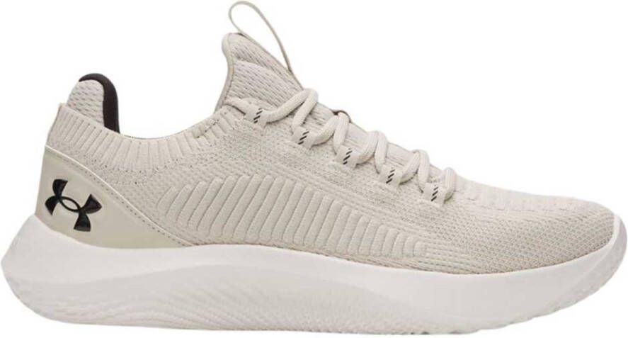 Under Armour Dynami Schoenen Beige Man