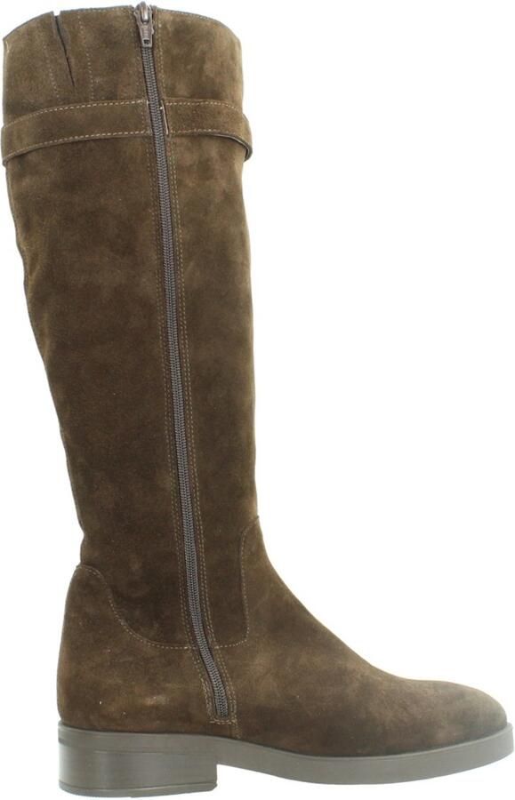 Unisa EDELI BS Bruin