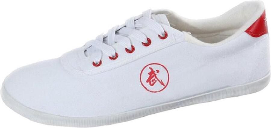 Unisex Vechtsporten Taichi Trainer Schoenen