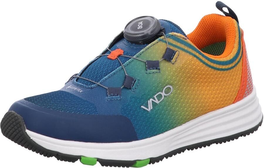 Vado Kid's Fade Low Boa GTX Vrijetijdsschoenen meerkleurig