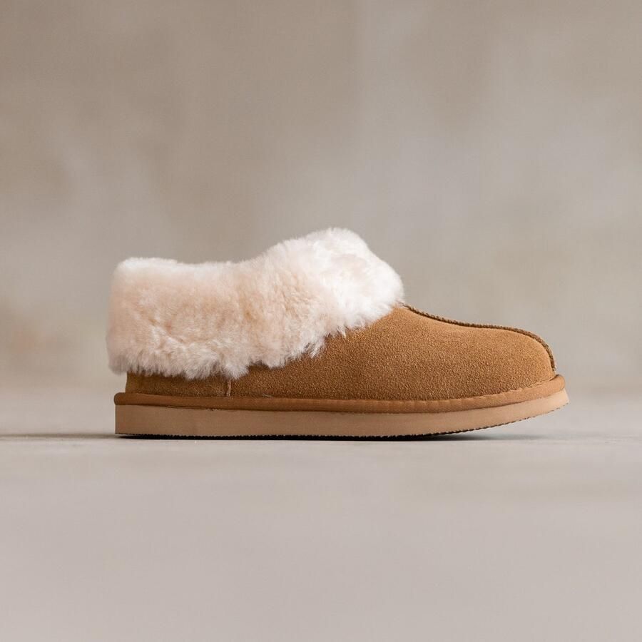 Van Buren Sinds 1861 Schapenvacht pantoffels Tuula Lamsvacht sloffen Camel