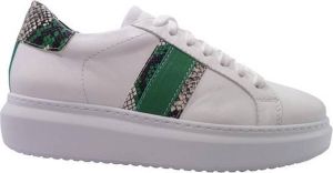 Van Driel Shoes Van Driel Exclusive Sneakers Dordrecht Wit Groen