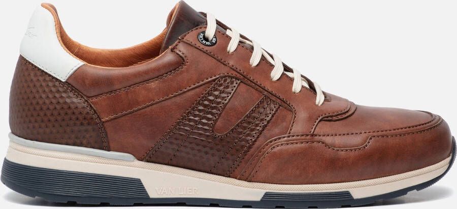 Van Lier 2215536 Volwassenen Lage sneakersVrije tijdsschoenen Kleur Cognac - Foto 2