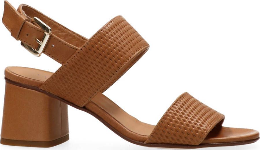 VanDalen Van Dalen AWEY ST SANDAL Beige Beige