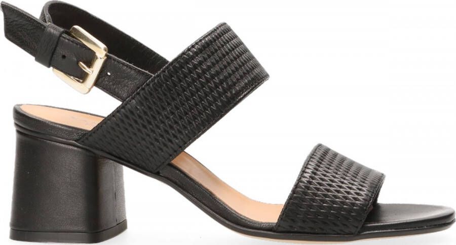 VanDalen Van Dalen AWEY ST SANDAL Black