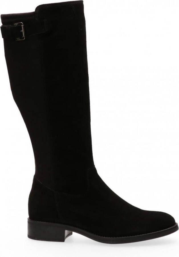 VanDalen Van Dalen Hoge laars suede met stretch Womens Black