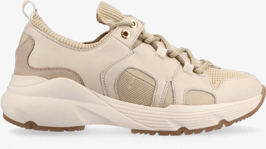 VanDalen Van Dalen KAYLEE SOCK SNEAKER BONE