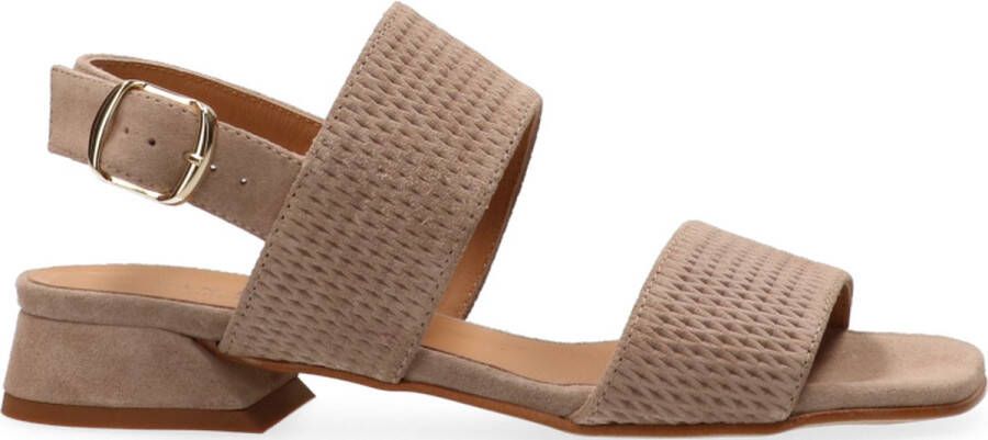 VanDalen Van Dalen PEPLY ST SANDAL BONE