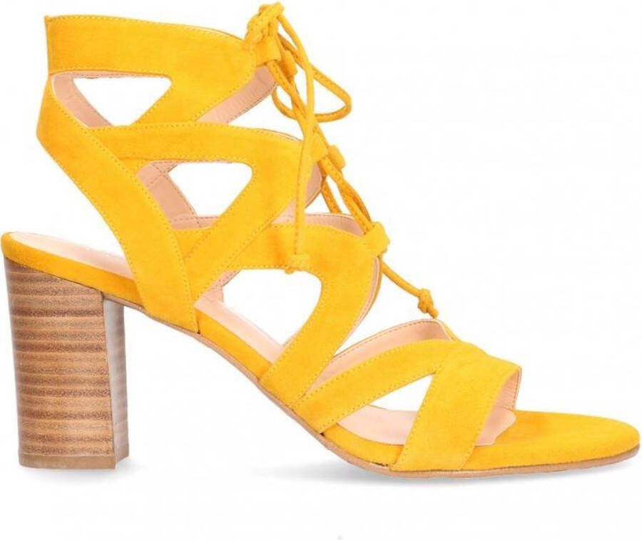 VanDalen Van Dalen Sandaal Met Hak Suede Sandaal met hak Yellow