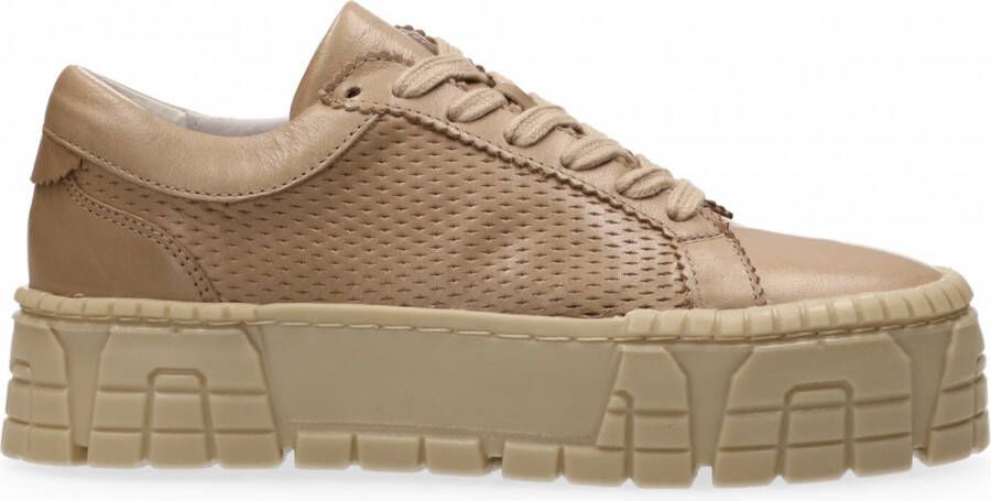 VanDalen Van Dalen SIA 01 PERFO SNEAKER Taupe