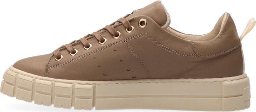 VanDalen Van Dalen TESSA LEATHER SNEAKER Taupe - Foto 5