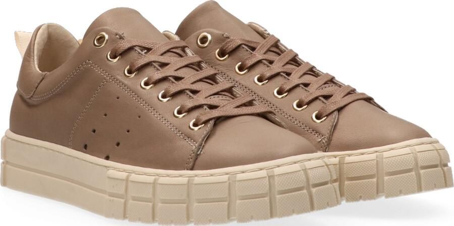 VanDalen Van Dalen TESSA LEATHER SNEAKER Taupe - Foto 4