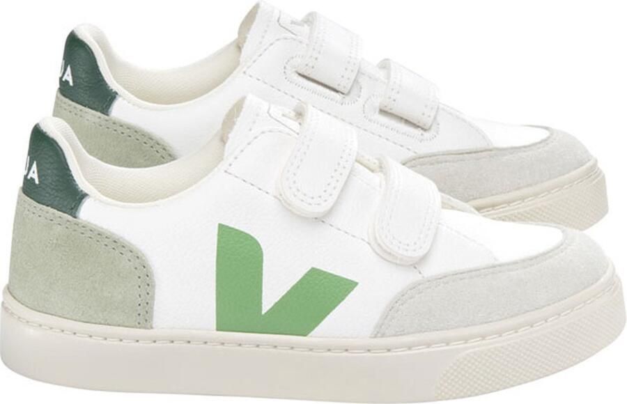 Veja V12 CF MULTICO CLAY
