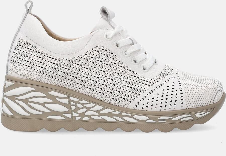 Venezia Witte Dames Sneakers Leren Bovenwerk Opengewerkt Patroon Sleehak van