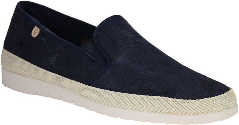 Verbenas Boris Blauwe Moccasin