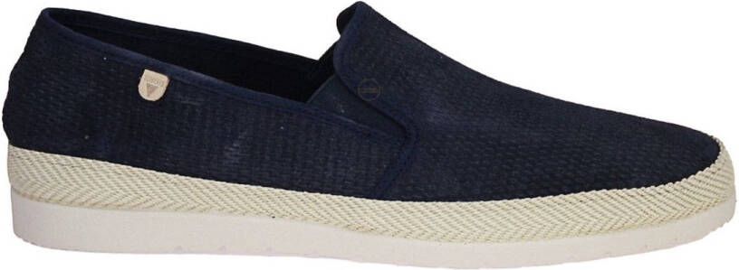 Verbenas Boris Blauwe Moccasin