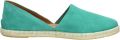 VERBENAS Instappers 'Carmen' turquoise - Turquoise