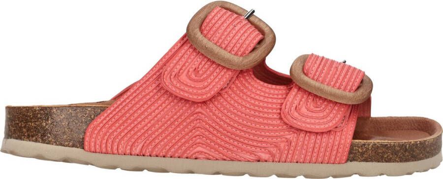 Verbenas Ruth Lato slipper oranje