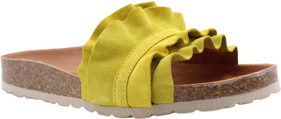 Verbenas Slipper Yellow