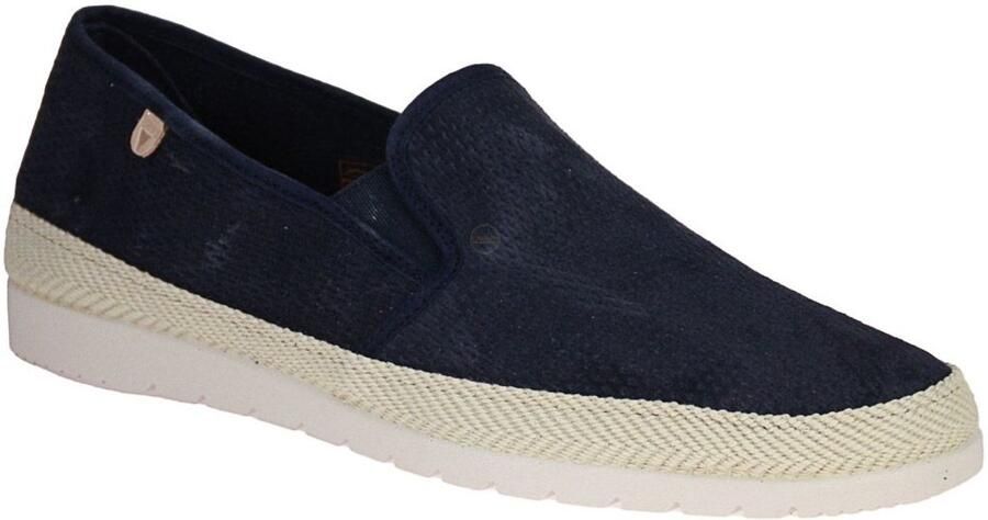 Verbenas Boris Blauwe Moccasin