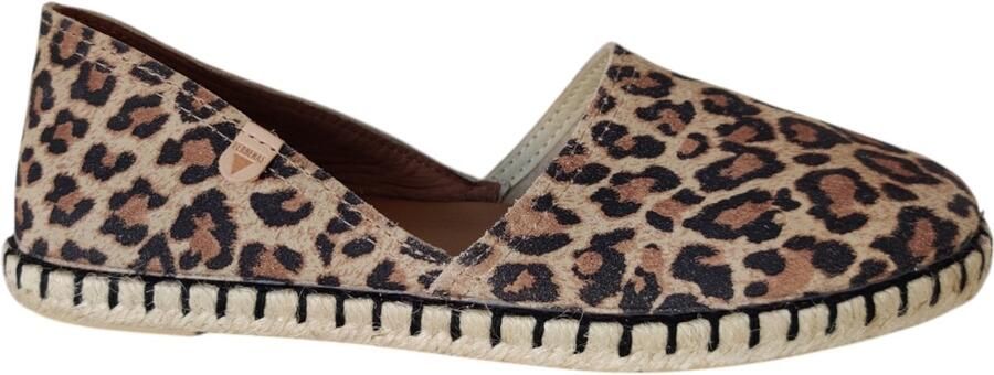 Verbenas Instapper Carmen Leo Bruin