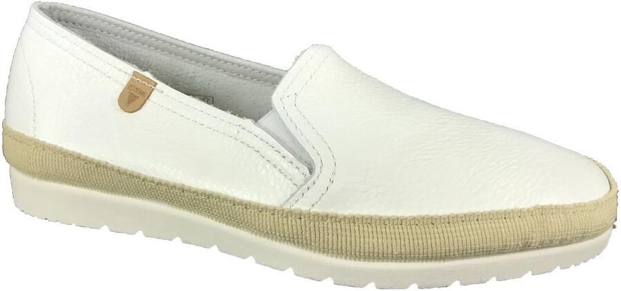 Verbenas MOCASSIN NURIA NUCLIA