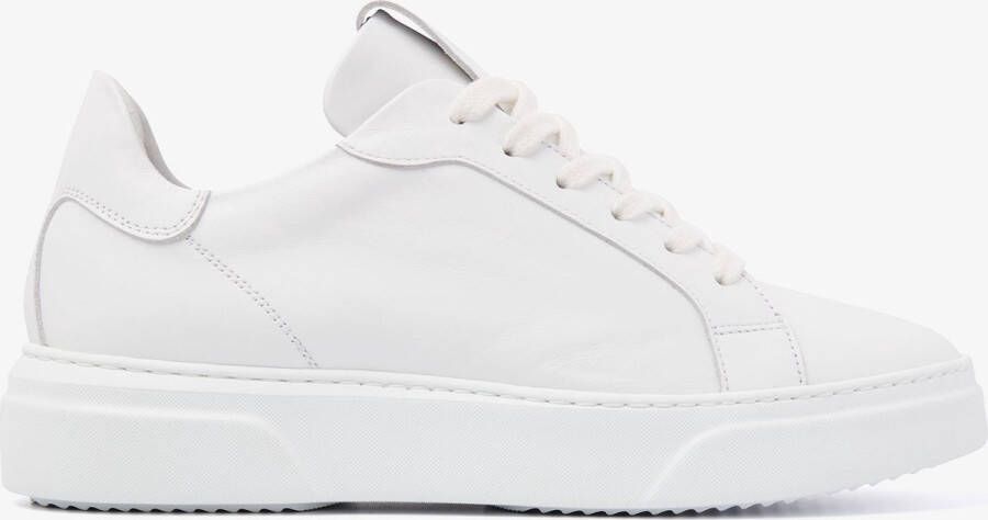 VIA VAI Juno Uni witte sneakers Wit Leer Lage sneakers Dames - Foto 2