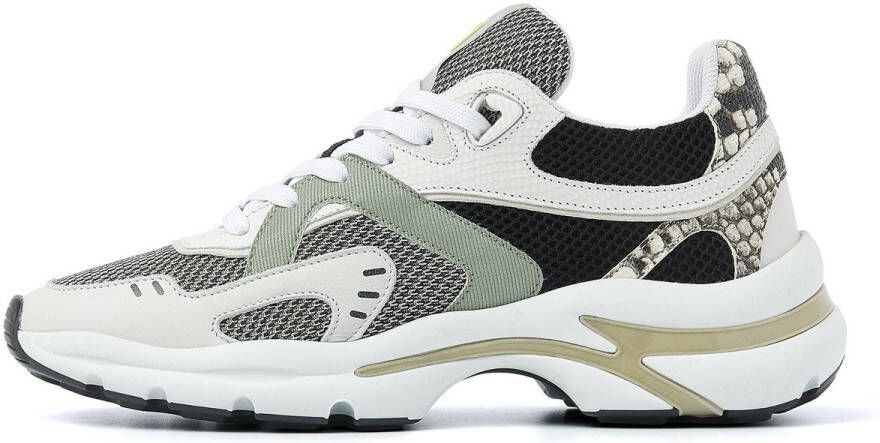 VIA VAI Vesper Kelsey sneakers dames Beige Leer Lage sneakers Dames