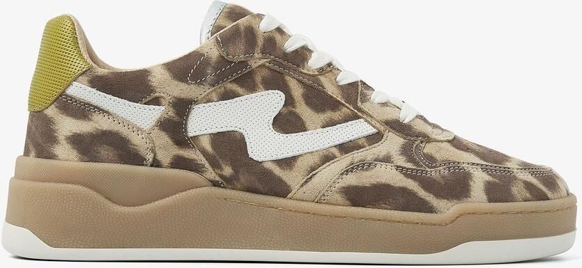 VIA VAI Sam Levi Sneakers dames Leer Bruin