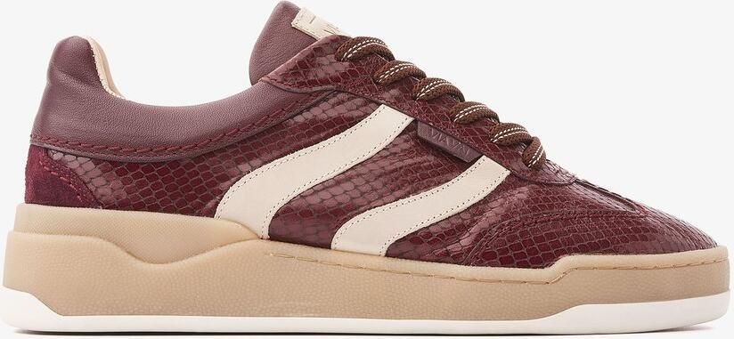 VIA VAI Sam Naomi Sneakers Dames Leer Suède Bordeaux