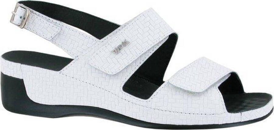 Vital 206501 PANERO 39 WIT