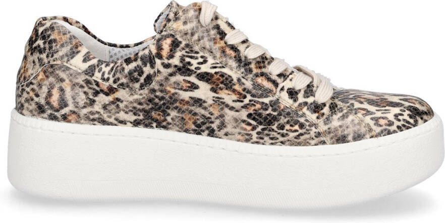 Waldläufer dames sportschoenen Nicky taupe Leo